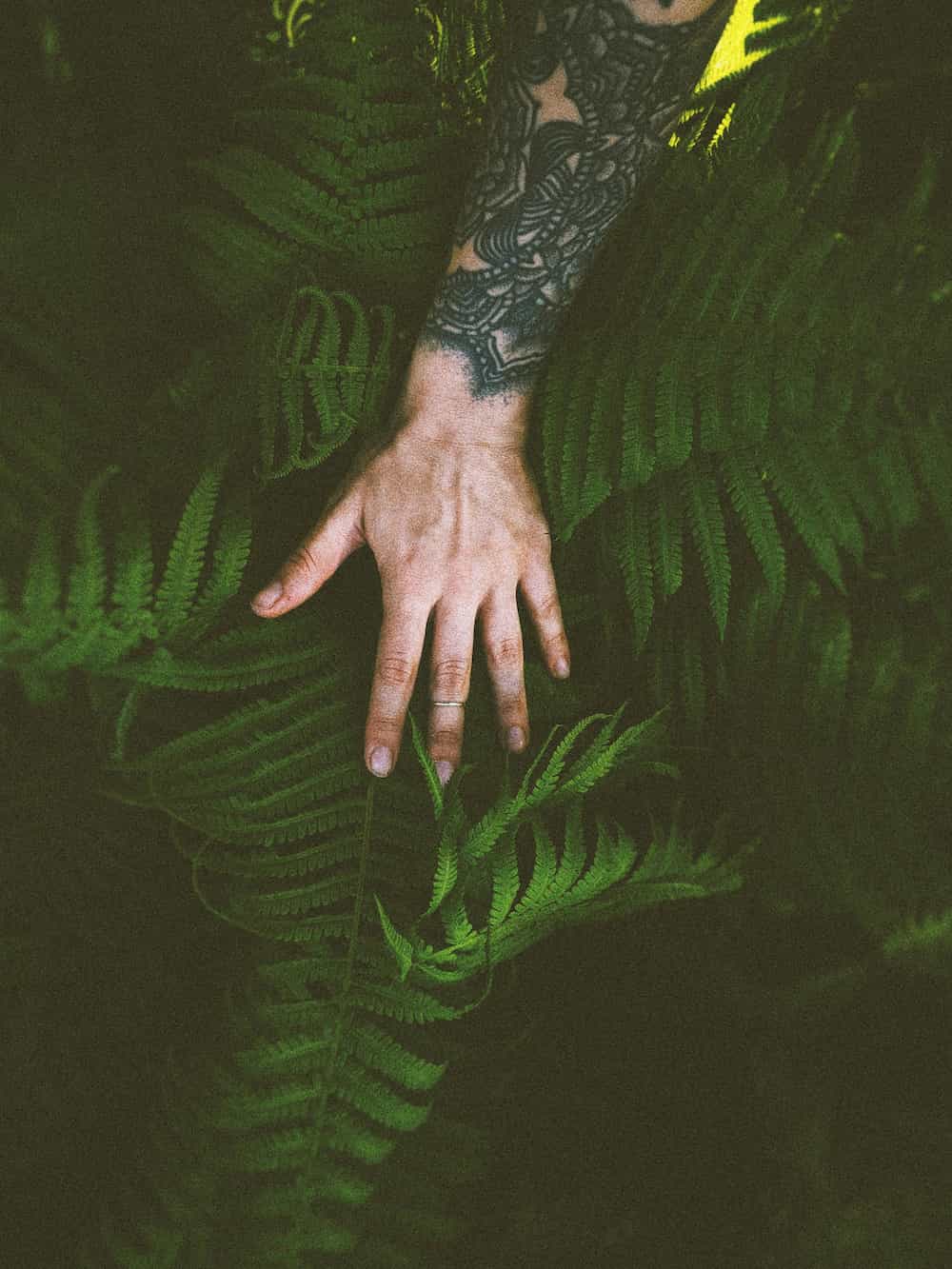 Cover tattoo